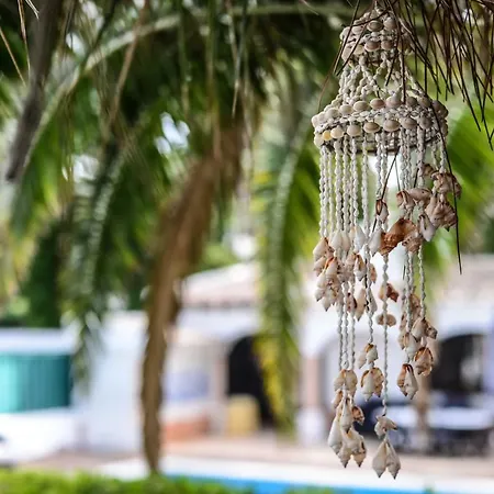Vakantiehuis Verdizela Pool&garden