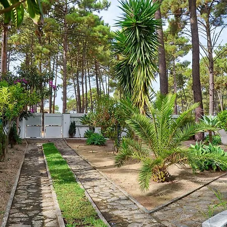 Verdizela Pool&garden Vakantiehuis *
