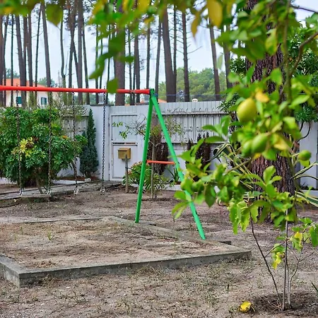 Vakantiehuis Verdizela Pool&garden Charneca (Setubal)