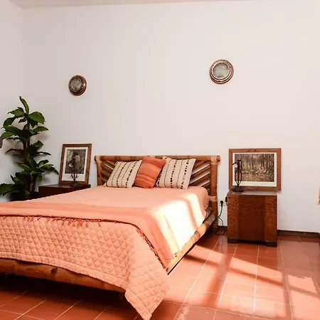 Verdizela Pool & Garden